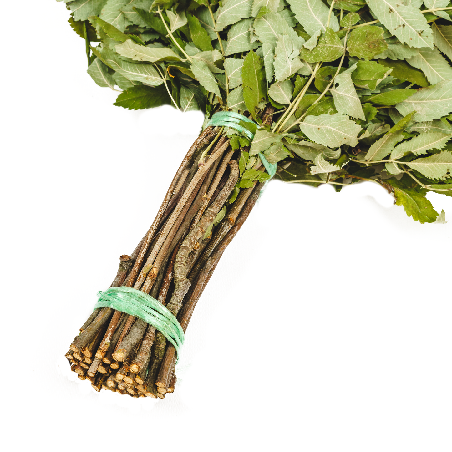 Saunabesen aus Vogelbeere - Venik für Sauna & Banya aus Riebenzweigen – Natürliches Saunazubehör für Aufguss & Wellness