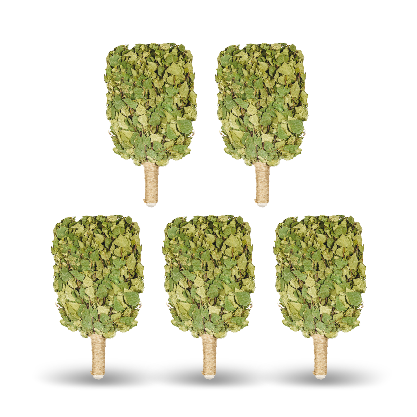 Birkenreisig "PREMIUM", Birkenbesen, Birkenzweige, Venik , Wenik|Веник