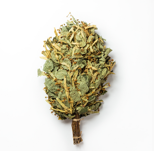 Saunabesen aus blühender Linde – mit Lindenblüten – traditioneller Besen für Sauna & Banja – naturbelassen – aromatisch – Saunazubehör aus Lindenzweigen. Ernte 2025