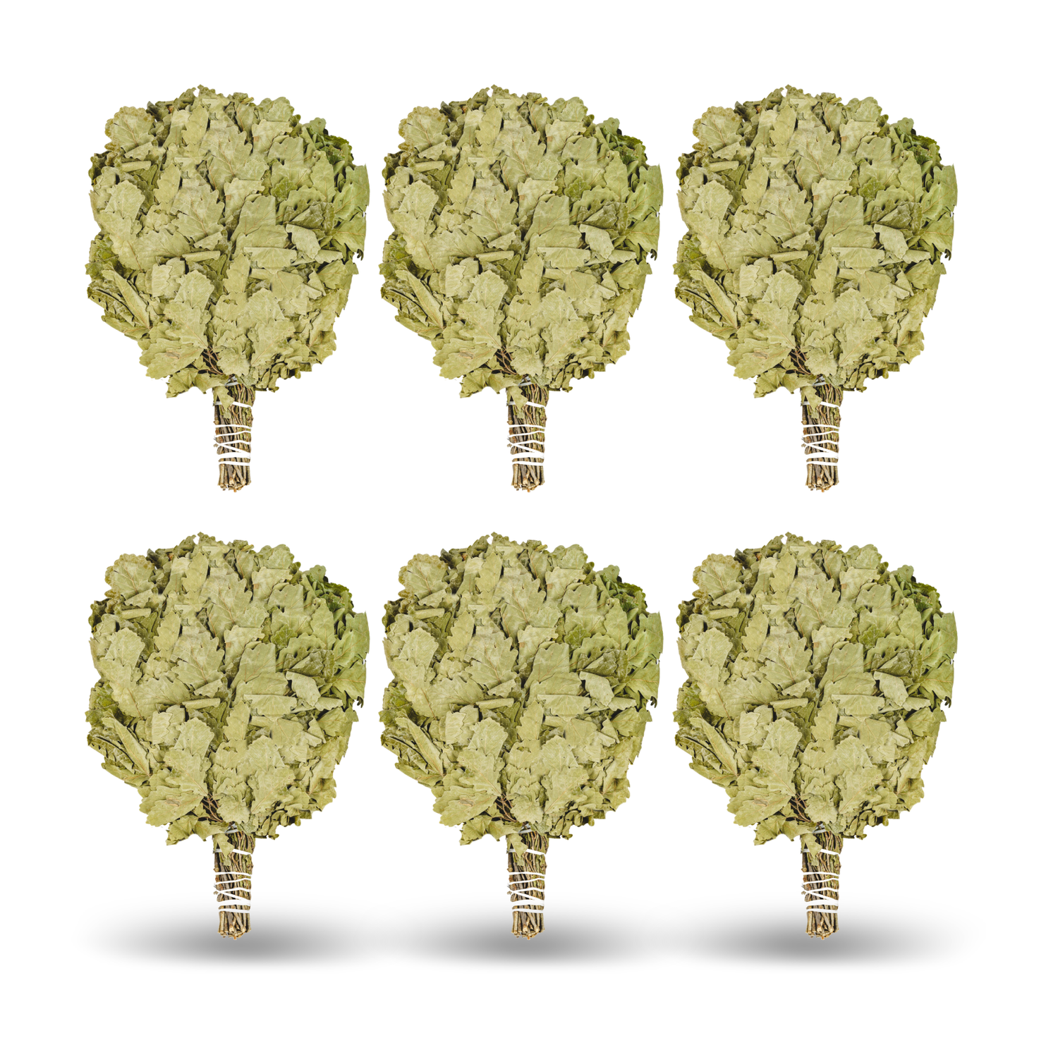 SET Kaukasischer Eichenbesen  "Ausgewählt"| Eichenreisig|Eichenbünndel|Venik|Wenik|Веник