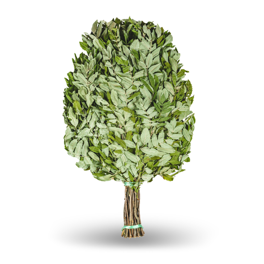 Saunabesen aus Vogelbeere - Venik für Sauna & Banya aus Riebenzweigen – Natürliches Saunazubehör für Aufguss & Wellness