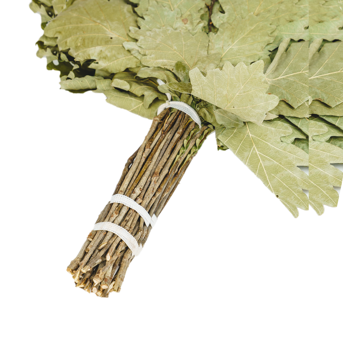 Кaukasischer Eichenbesen "Profi"| Russian Venik Whisk/Banya-Besen