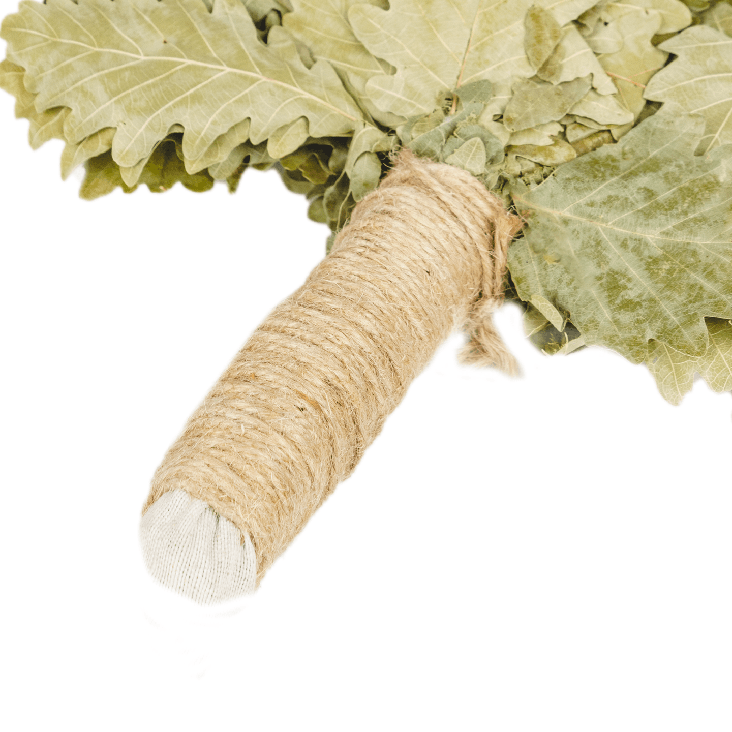 Кaukasischer Eichenbesen  "Ausgewählt PREMIUM"| Eichenbünndel|Venik|Wenik|Веник