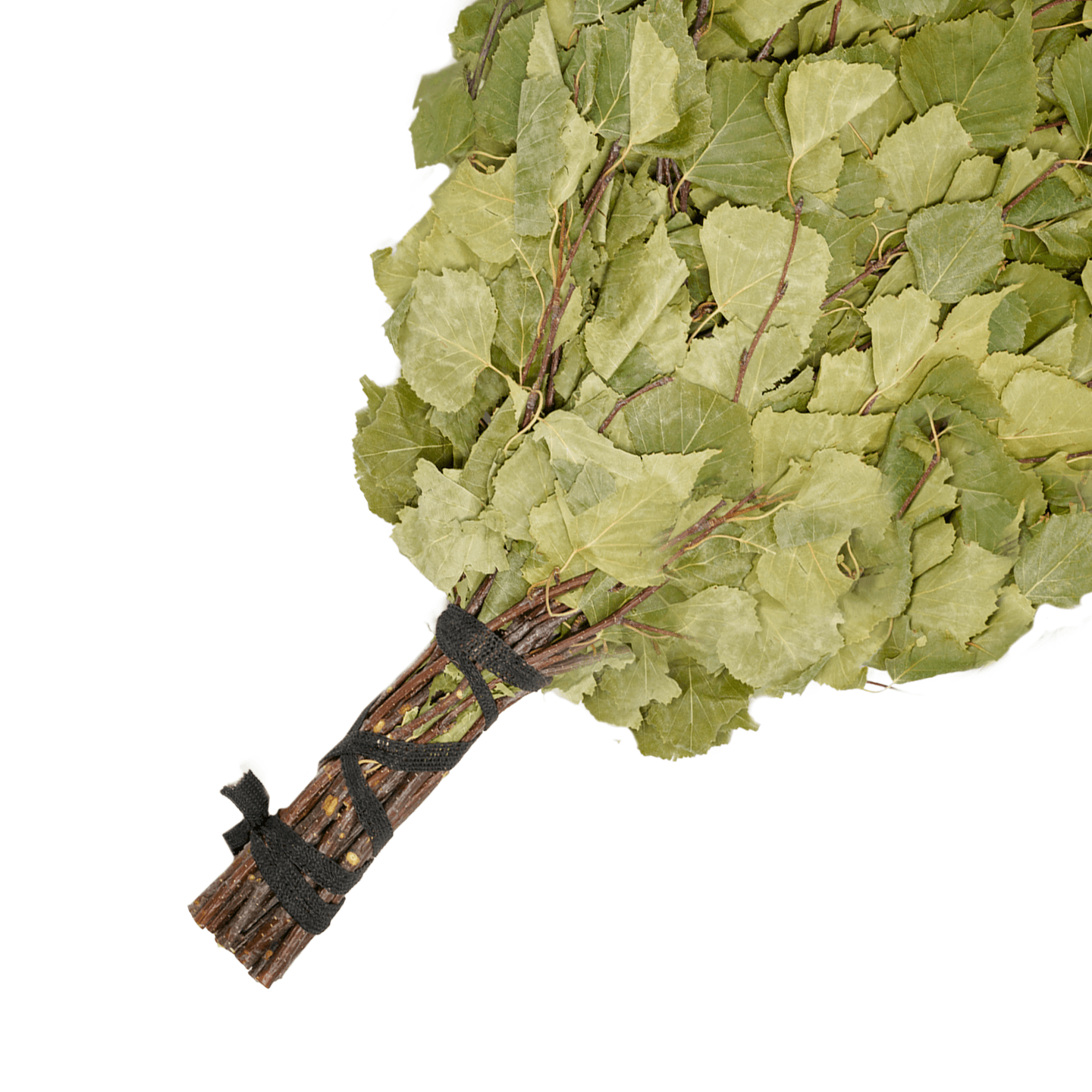 NeSowok® Birkenbesen für Banja – ideal für das traditionelle Banja-Ritual: Abschlagen, Wenik-Massage & Einreiben