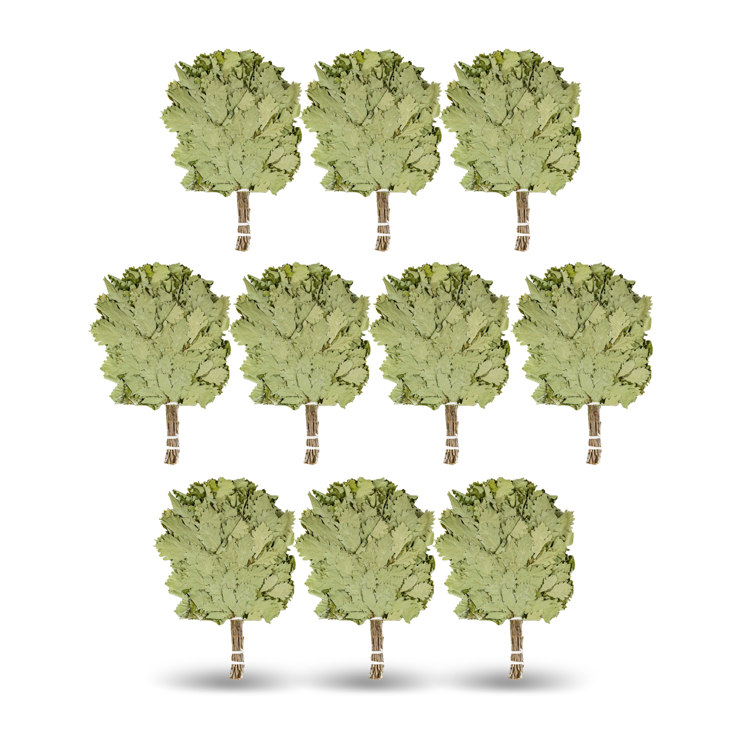 Кaukasischer Eichenbesen "Profi"| Russian Venik Whisk/Banya-Besen