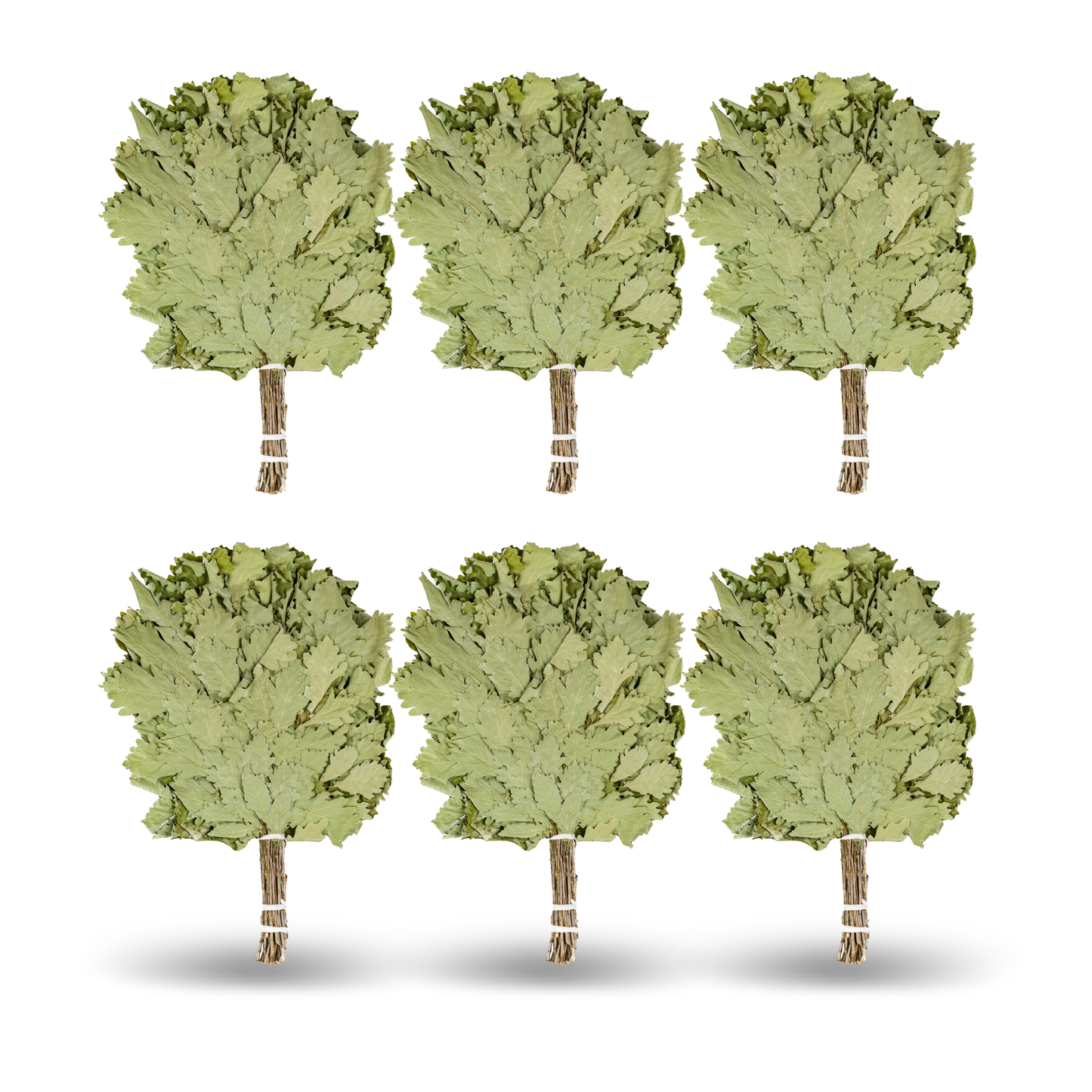 Кaukasischer Eichenbesen "Profi"| Russian Venik Whisk/Banya-Besen