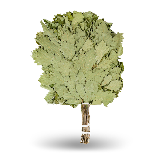 Кaukasischer Eichenbesen "Profi"| Russian Venik Whisk/Banya-Besen