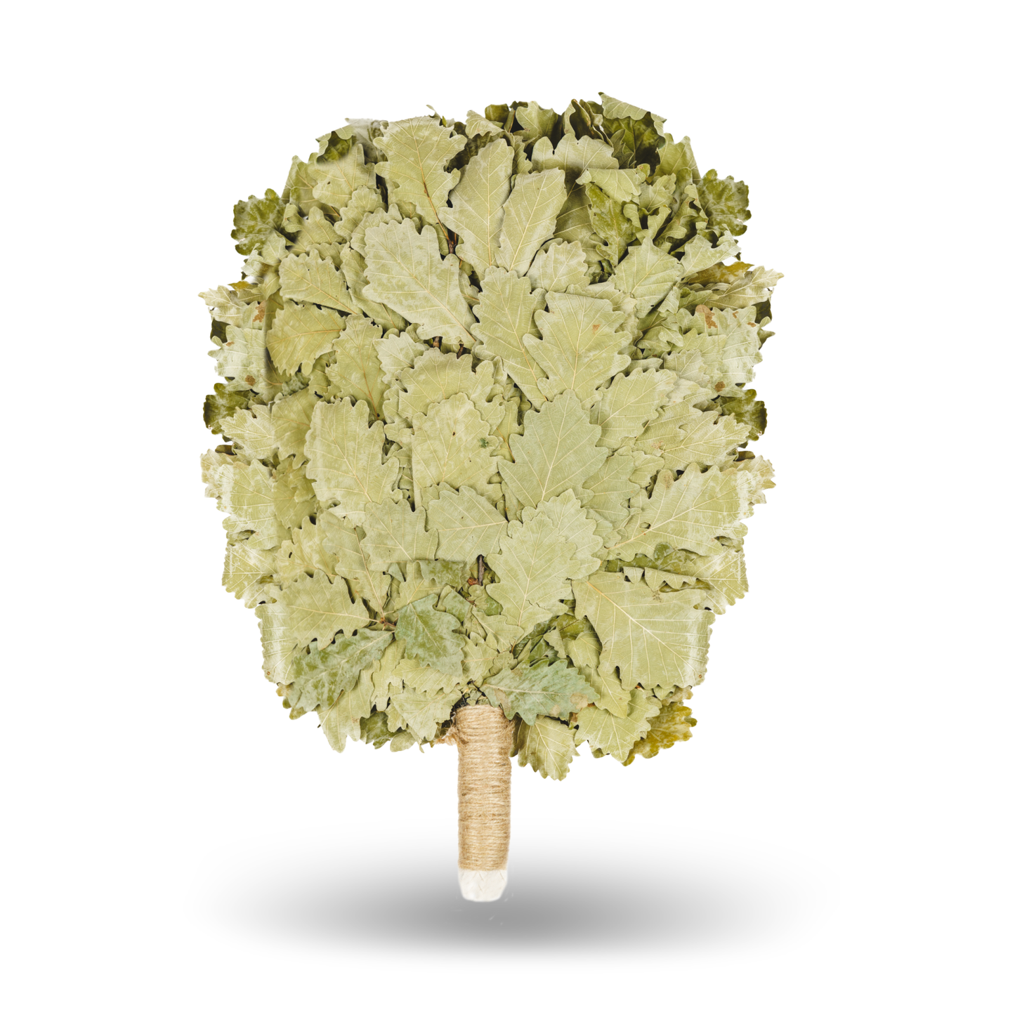 Кaukasischer Eichenbesen "Profi Komfort"| Russian Venik Whisk/Banya-Besen