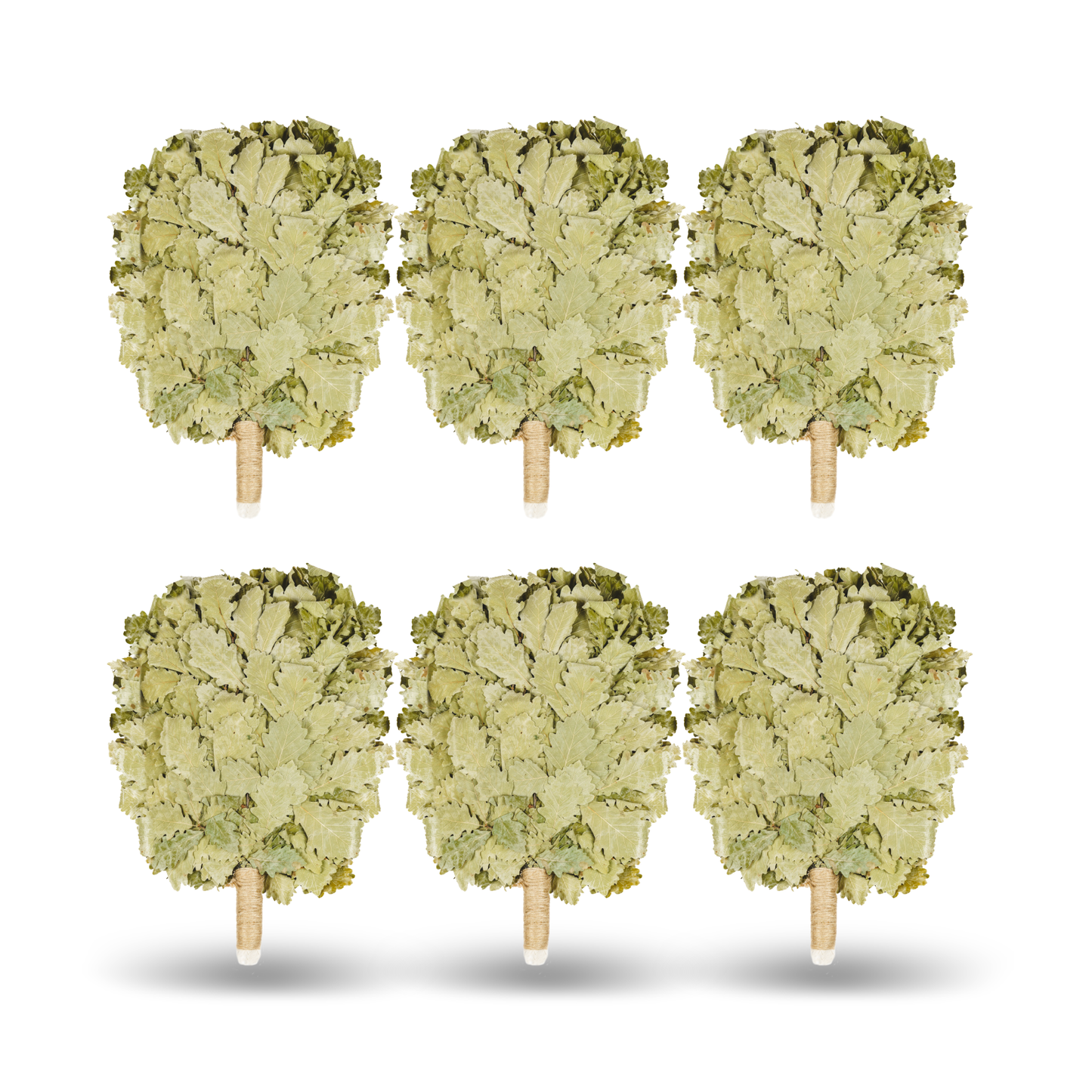 Кaukasischer Eichenbesen "Profi Komfort"| Russian Venik Whisk/Banya-Besen