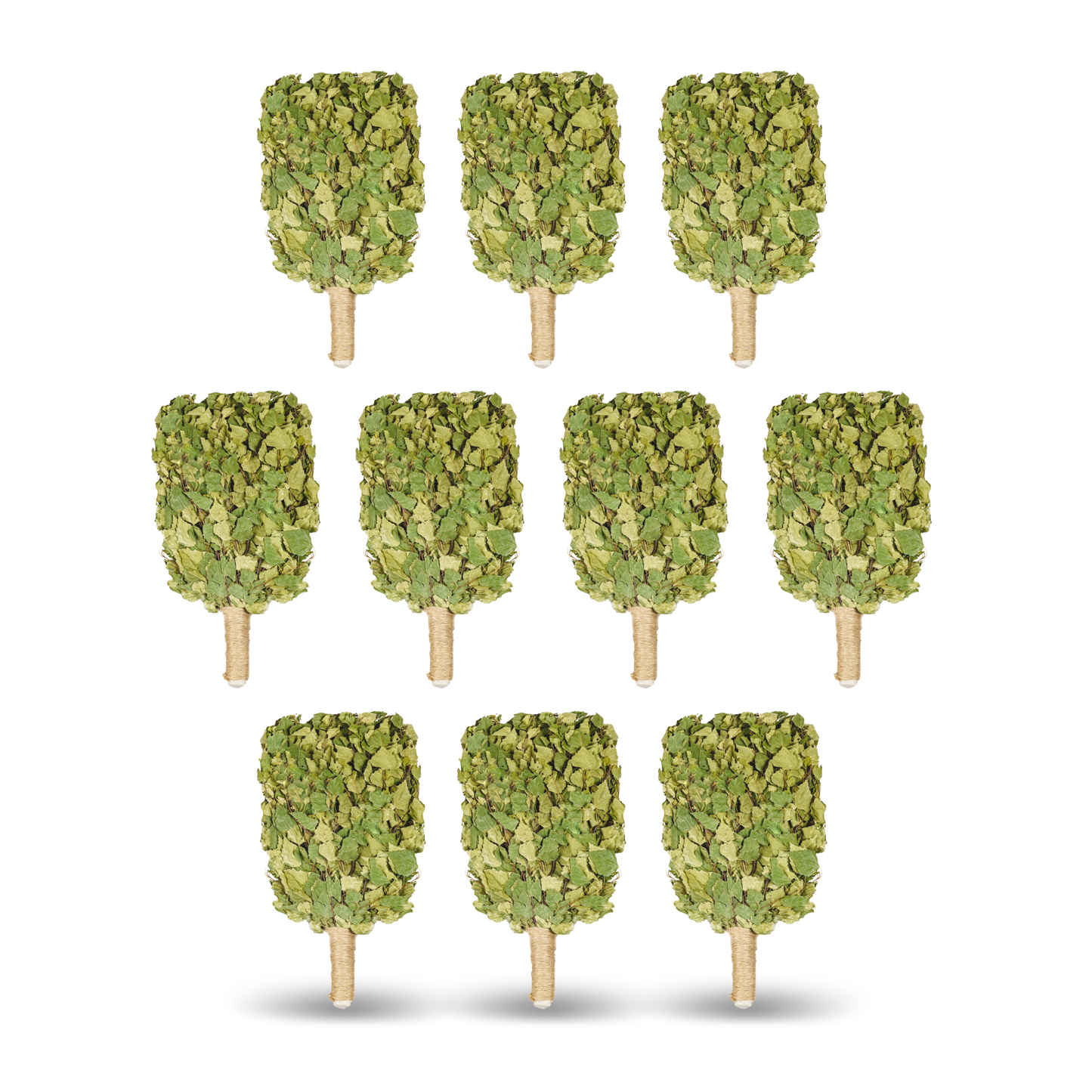 Birkenreisig "PREMIUM", Birkenbesen, Birkenzweige, Venik , Wenik|Веник