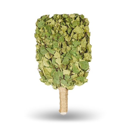 Birkenreisig "PREMIUM", Birkenbesen, Birkenzweige, Venik , Wenik|Веник