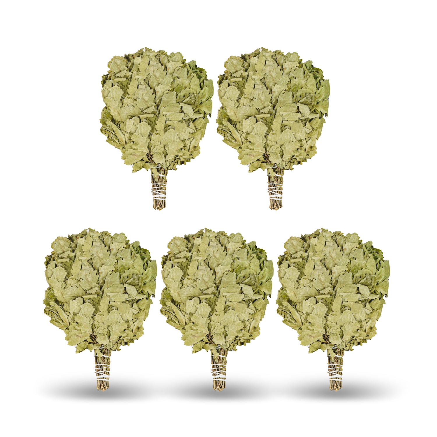 SET Kaukasischer Eichenbesen  "Ausgewählt"| Eichenreisig|Eichenbünndel|Venik|Wenik|Веник