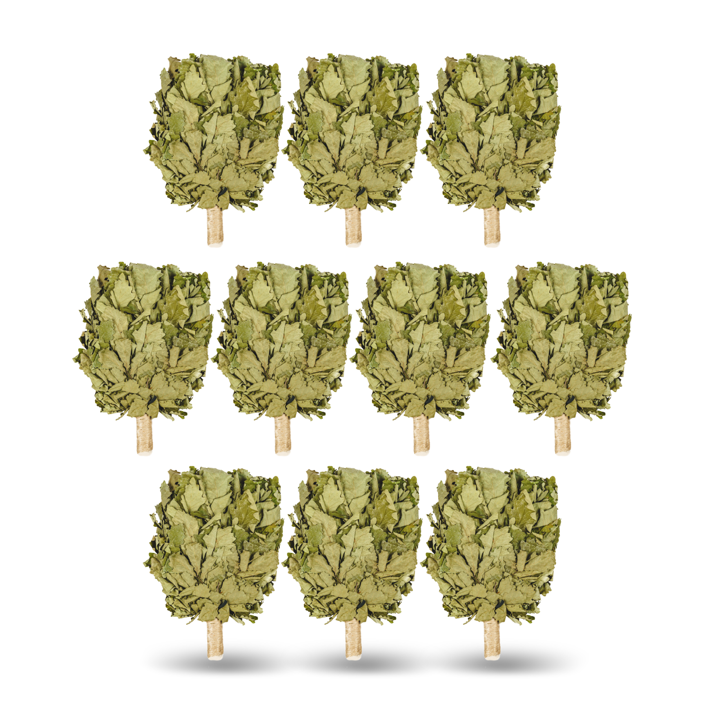 Кaukasischer Eichenbesen  "Ausgewählt PREMIUM"| Eichenbünndel|Venik|Wenik|Веник