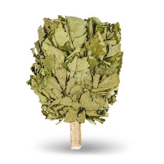 Кaukasischer Eichenbesen  "Ausgewählt PREMIUM"| Eichenbünndel|Venik|Wenik|Веник