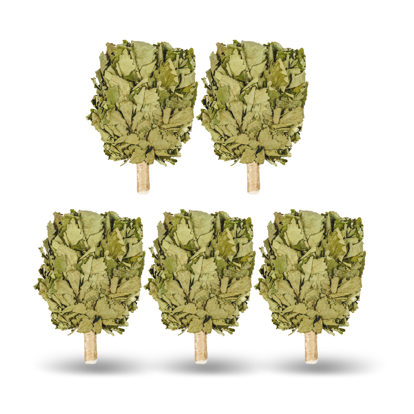 Кaukasischer Eichenbesen  "Ausgewählt PREMIUM"| Eichenbünndel|Venik|Wenik|Веник