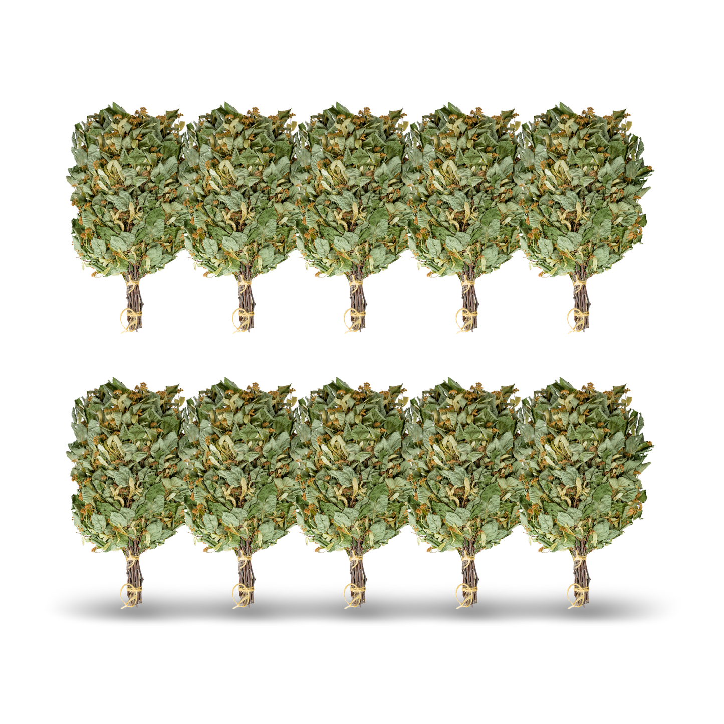 Saunabesen aus blühender Linde – mit Lindenblüten – traditioneller Besen für Sauna & Banja – naturbelassen – aromatisch – Saunazubehör aus Lindenzweigen. Ernte 2025