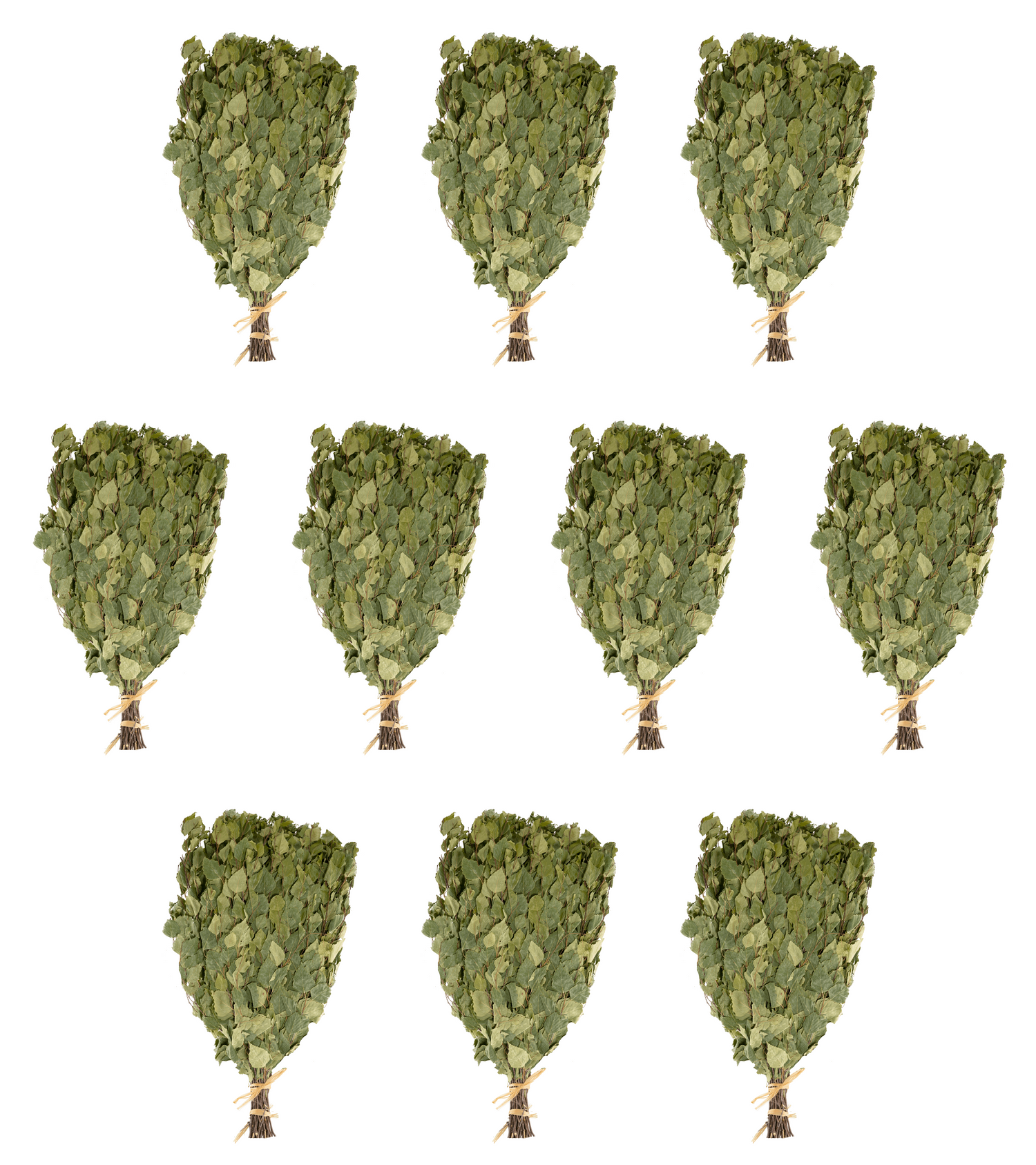 SET Birkenbüschel|Birkenaufguss|Venikaufguss Birkenzweigen|Quast für Sauna & Banya Gewicht: ca. 170-200 g